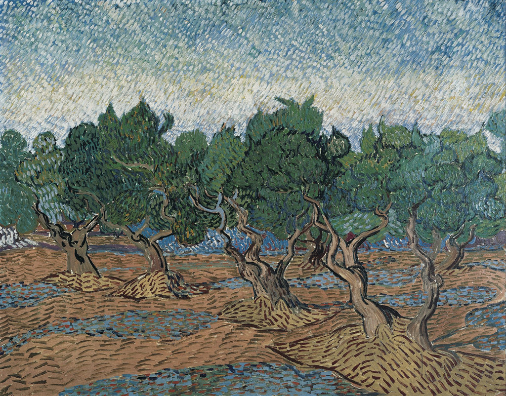 オリーブ畑／Gogh