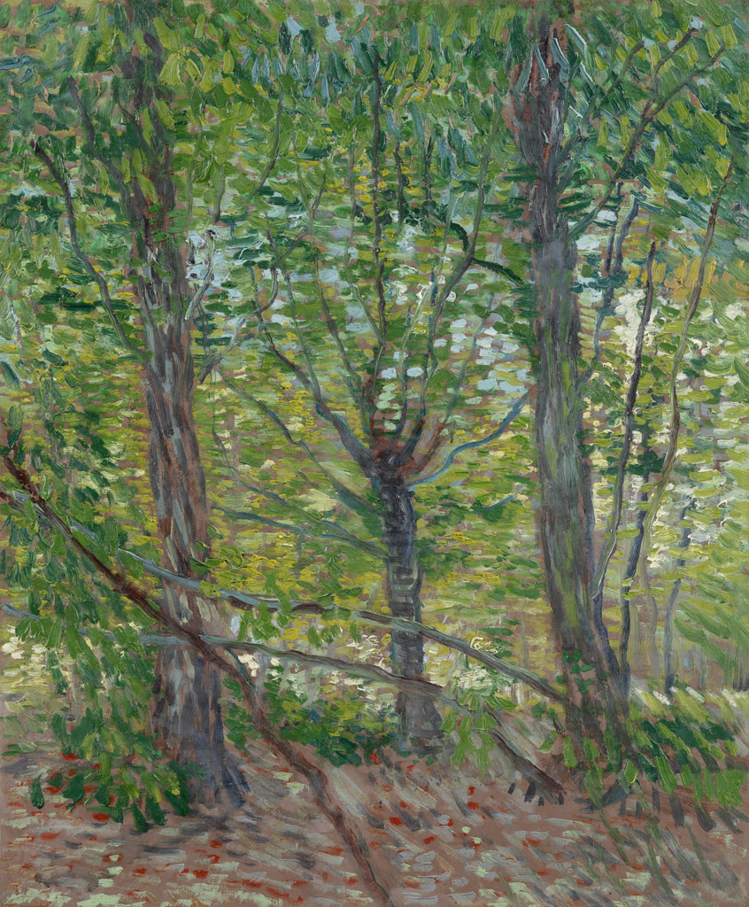 木々と下生え：ゴッホ美術館／Gogh