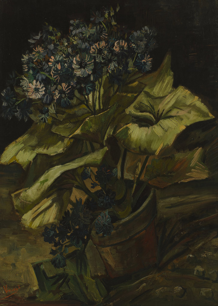 植木鉢のシネラリア／Gogh