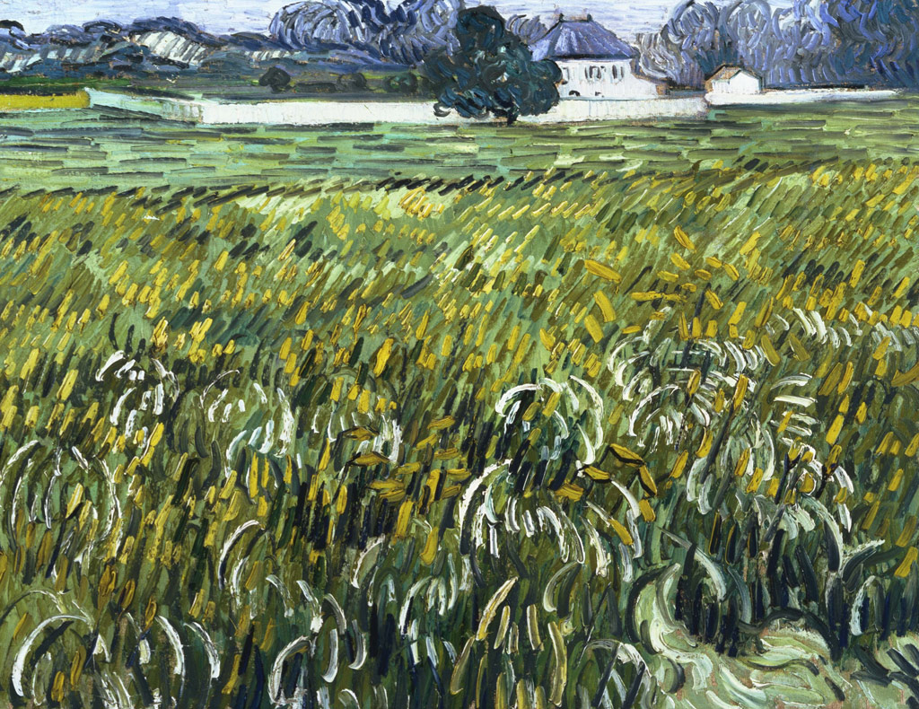 白い家のあるオーヴェルの麦畑／Gogh
