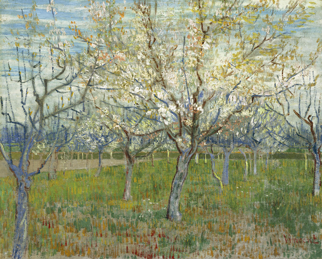花咲くアンズの木々のある果樹園／Gogh