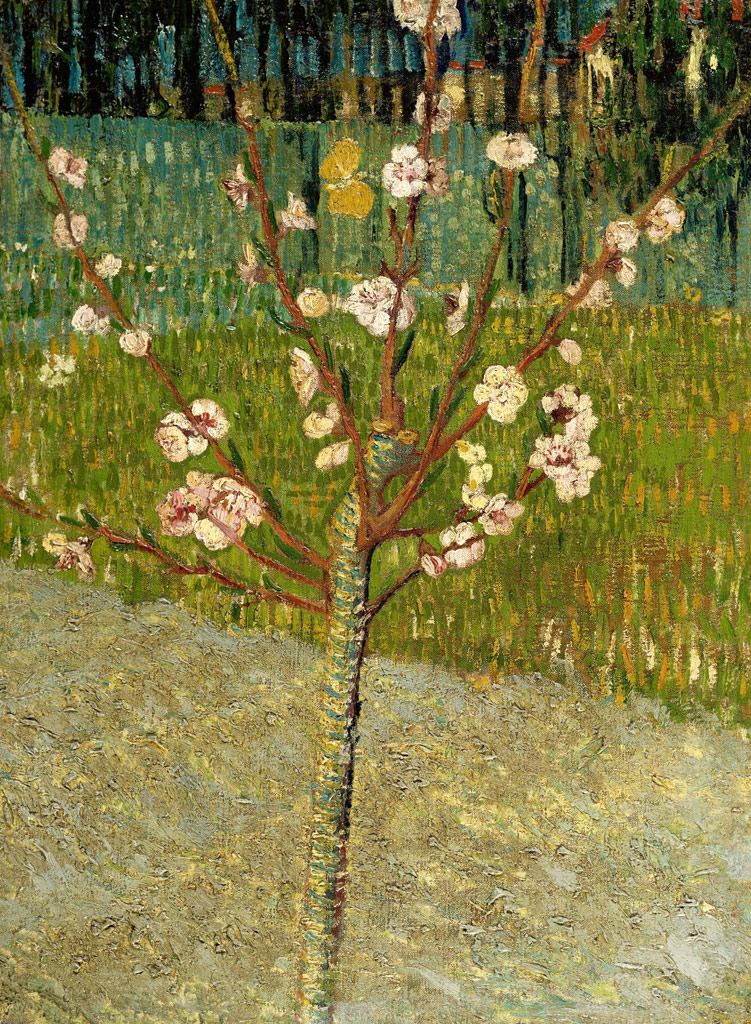 花咲くアーモンドの木／Gogh