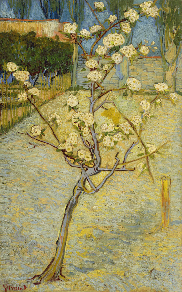 花咲くセイヨウナシの木／Gogh