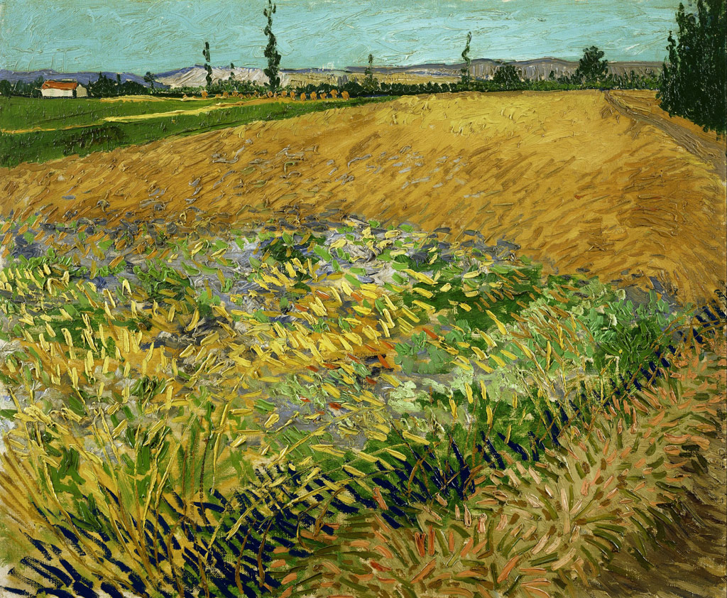麦畑、背景にアルピーユ山脈麓の丘陵／Gogh