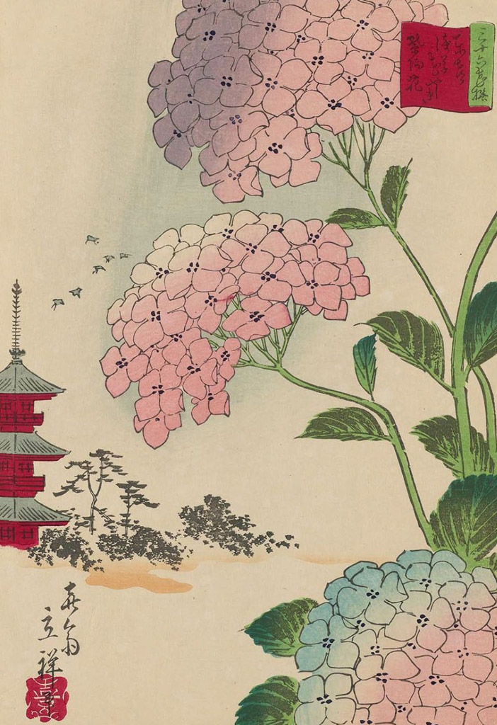 東都淺草花やしき紫陽花／Hiroshige