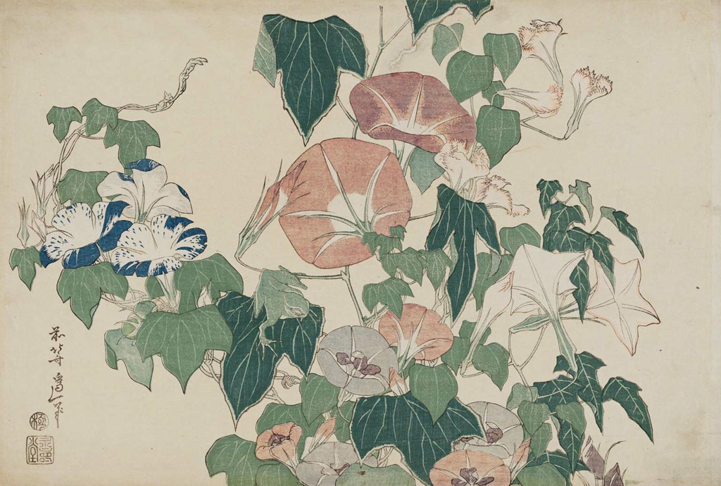 朝顔に雨蛙／Hokusai