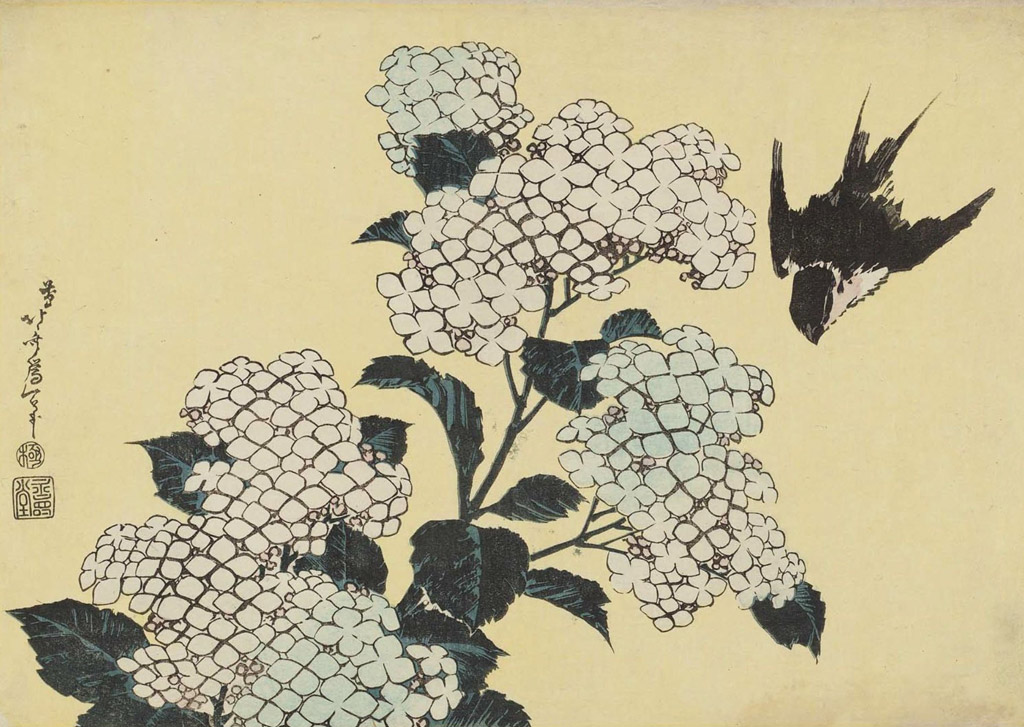 紫陽花に燕／Hokusai