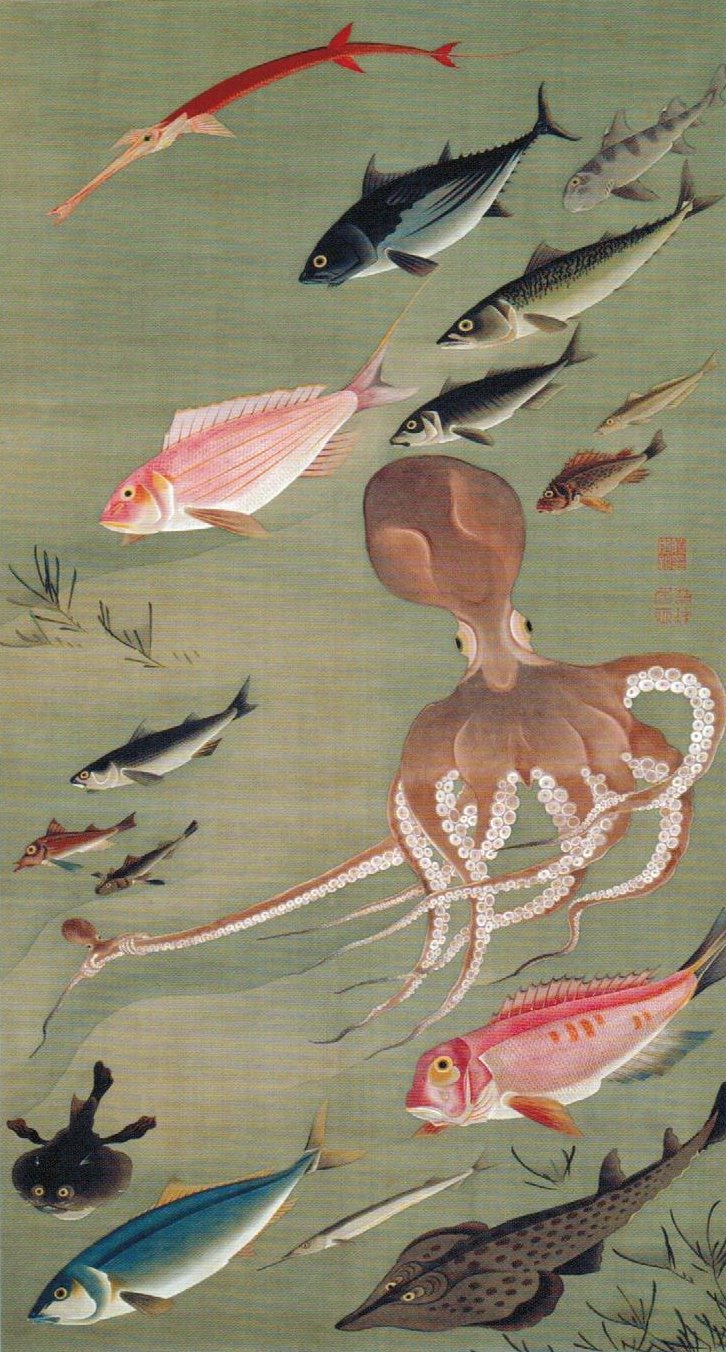 『動植綵絵』の内「群魚図」／Jyakuchu