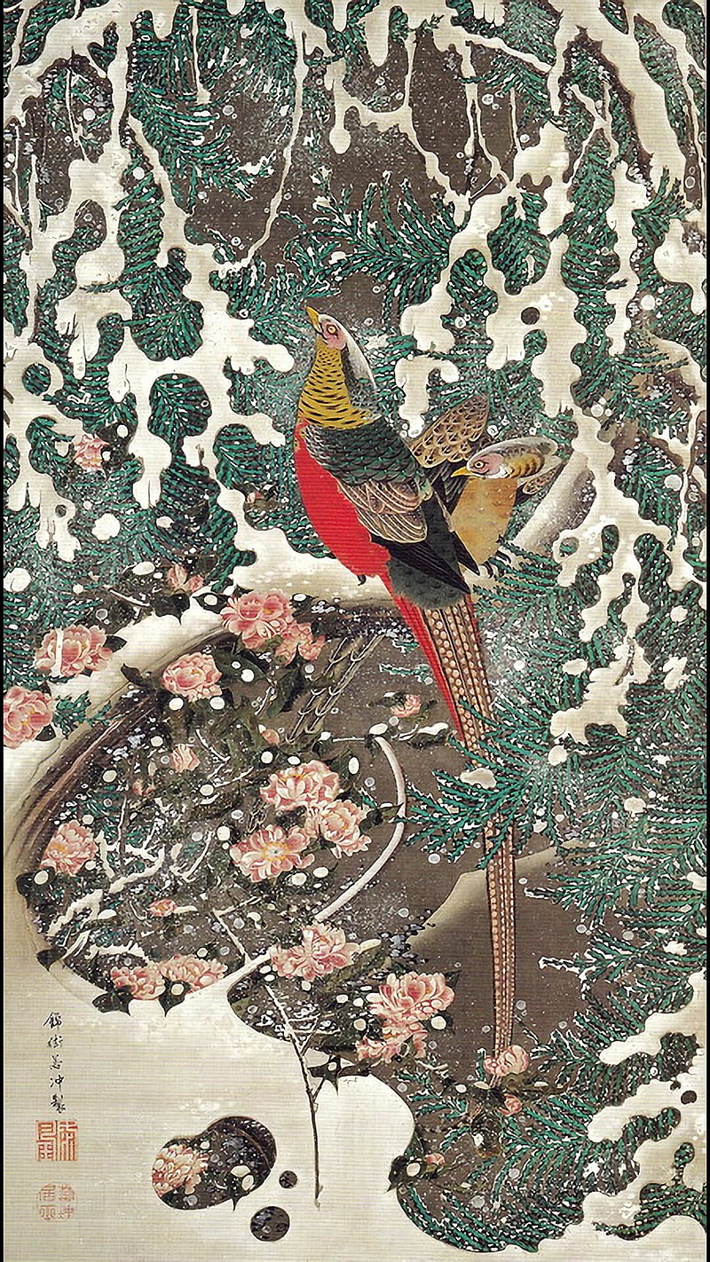 『動植綵絵』の内「雪中錦鶏図」／Jyakuchu
