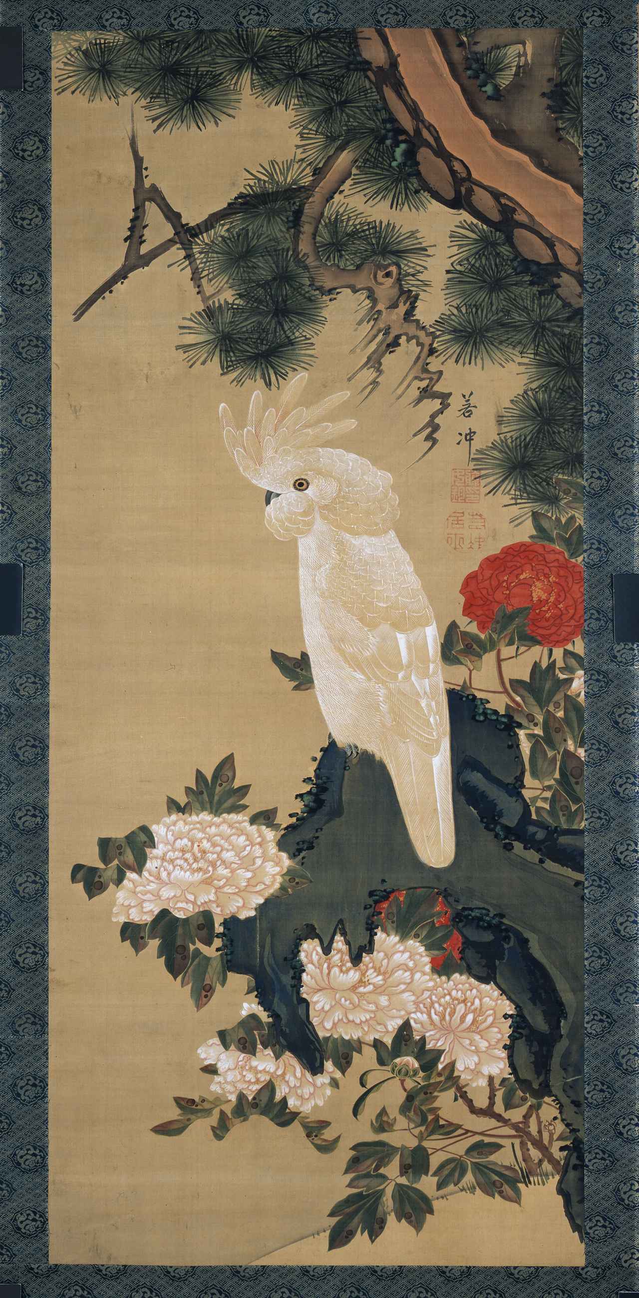 鸚鵡牡丹図／Jyakuchu