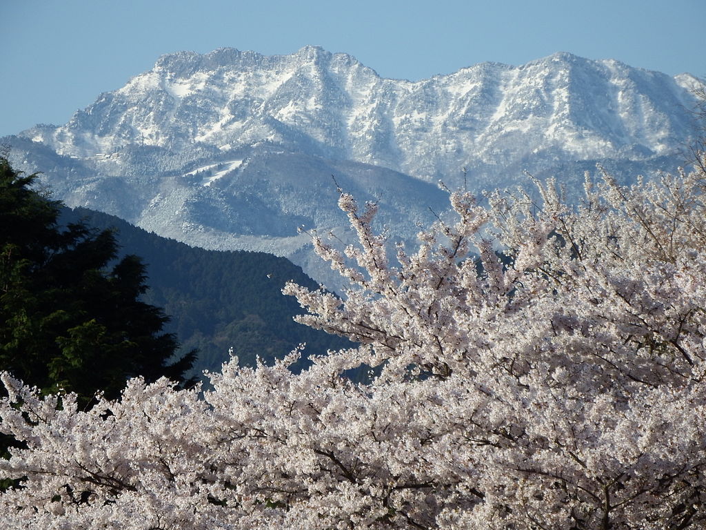 四季の山カレンダー - 春の円山公園と石鎚山