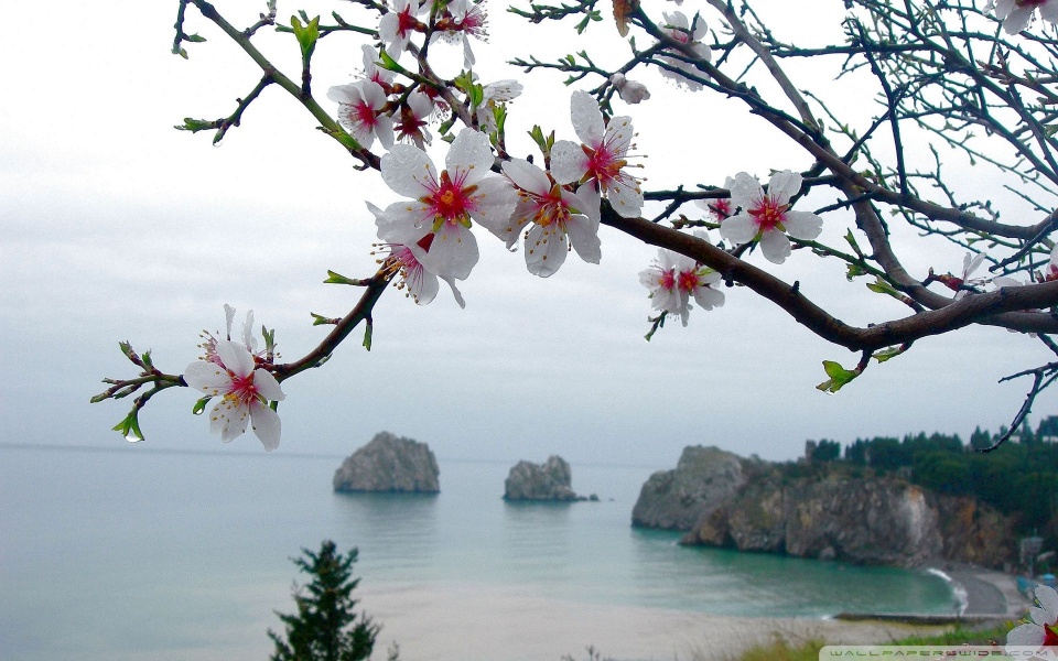 美しい海カレンダー - 春の海