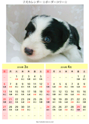 21 子犬カレンダー 可愛い犬のカレンダーが無料ダウンロードできる さくらカレンダー