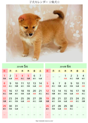 21 子犬カレンダー 可愛い犬のカレンダーが無料ダウンロードできる さくらカレンダー