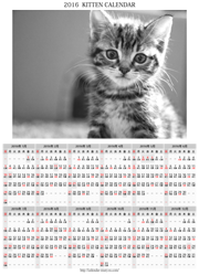 子猫の年間カレンダー