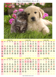 子猫と子犬の仲良しカレンダー