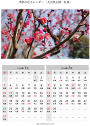 花カレンダー 紅梅