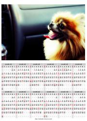 ������J�����_�[