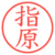 指原