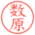 数原