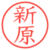 新原