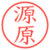 源原