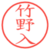 竹野入